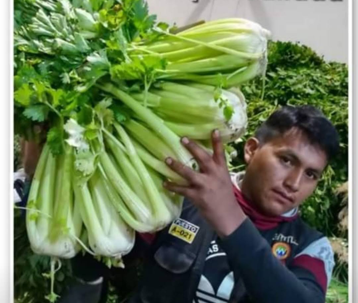 EXTRA BUENA