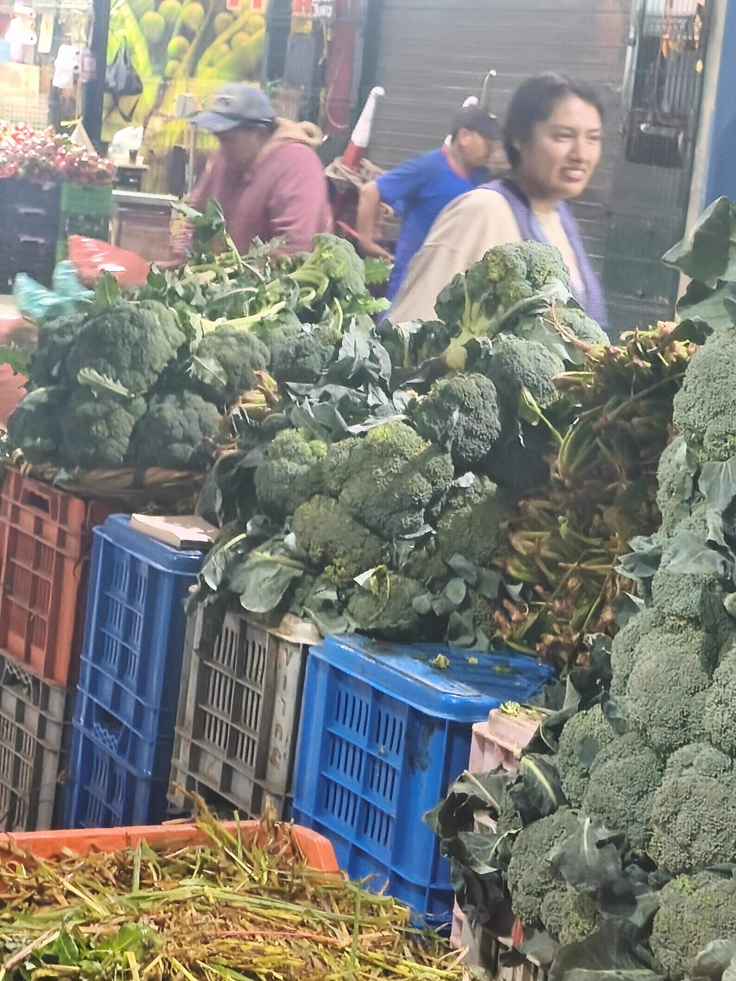 Brócoli - EXTRA SERRANA