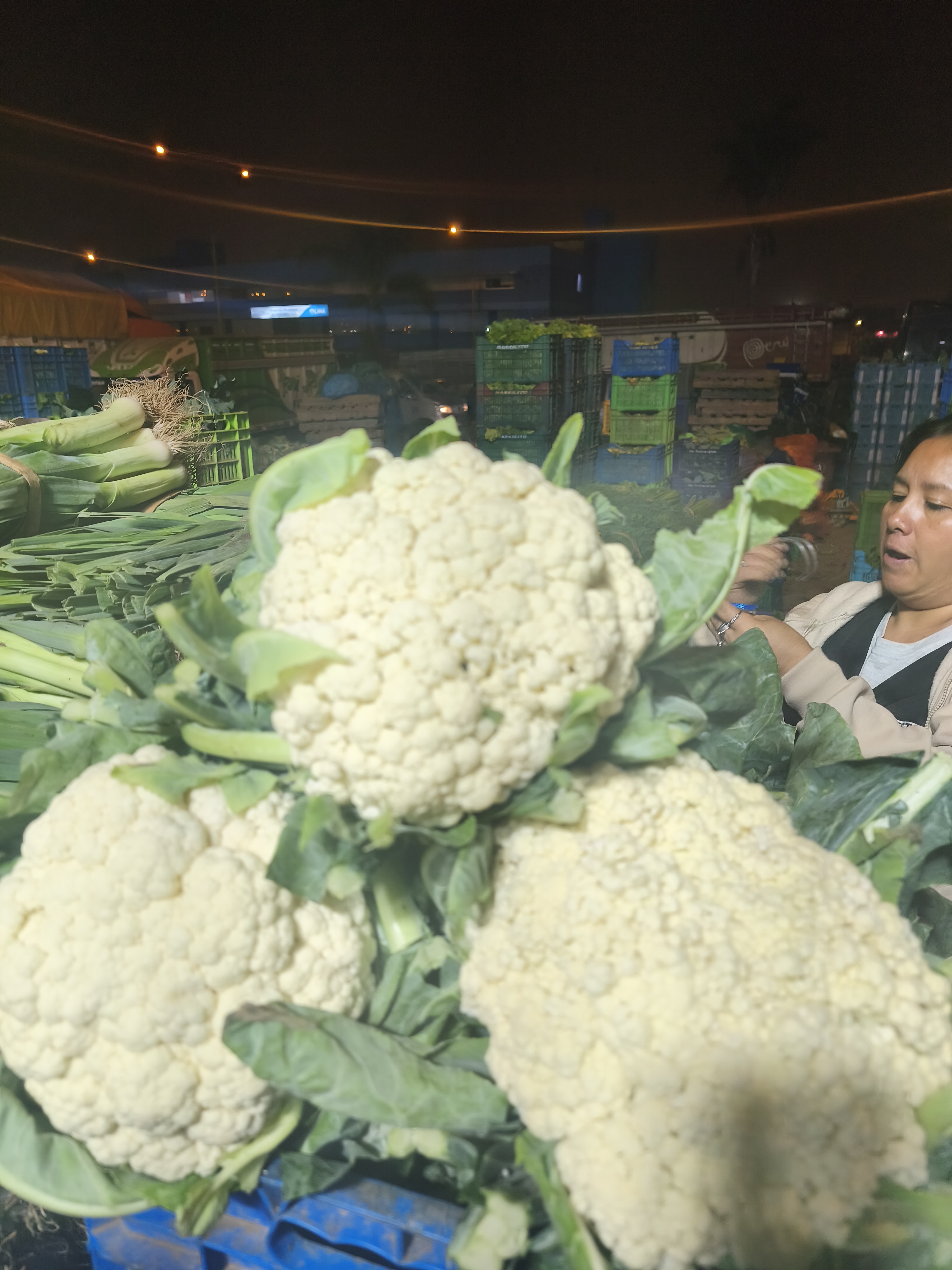 Coliflor - Primera